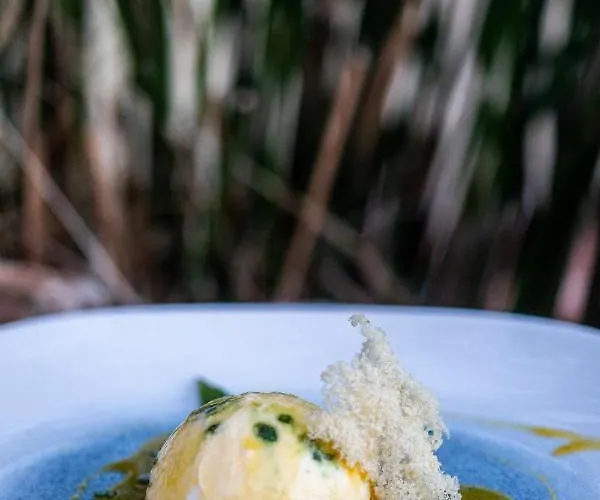 Athina And Apartment